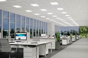 3.1 Iluminación para oficinas / despachos