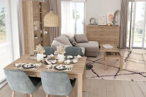 decoracion de salones + comedores